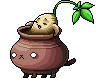 Ginseng Jar